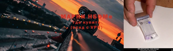 Альфа ПВП Аркадак