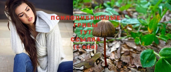 apvp Арсеньев
