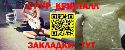 шишки Гатчина