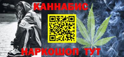 шишки Гатчина
