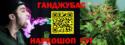шишки Гатчина