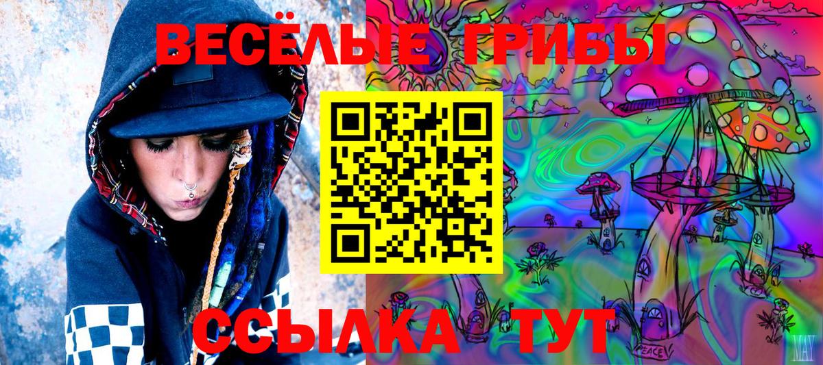 Волхов  Галлюциногенные грибы Psilocybe  Вход с VPN 