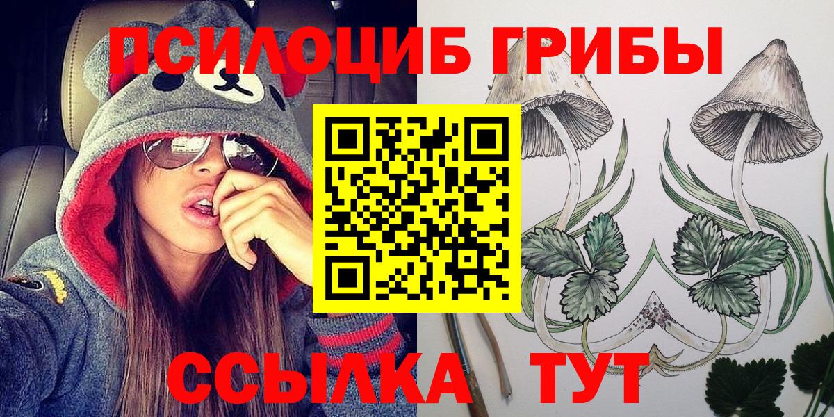 Галлюциногенные грибы мицелий  Галлюциногенные грибы мухоморы  где купить наркоту  Вход с VPN  Волхов 